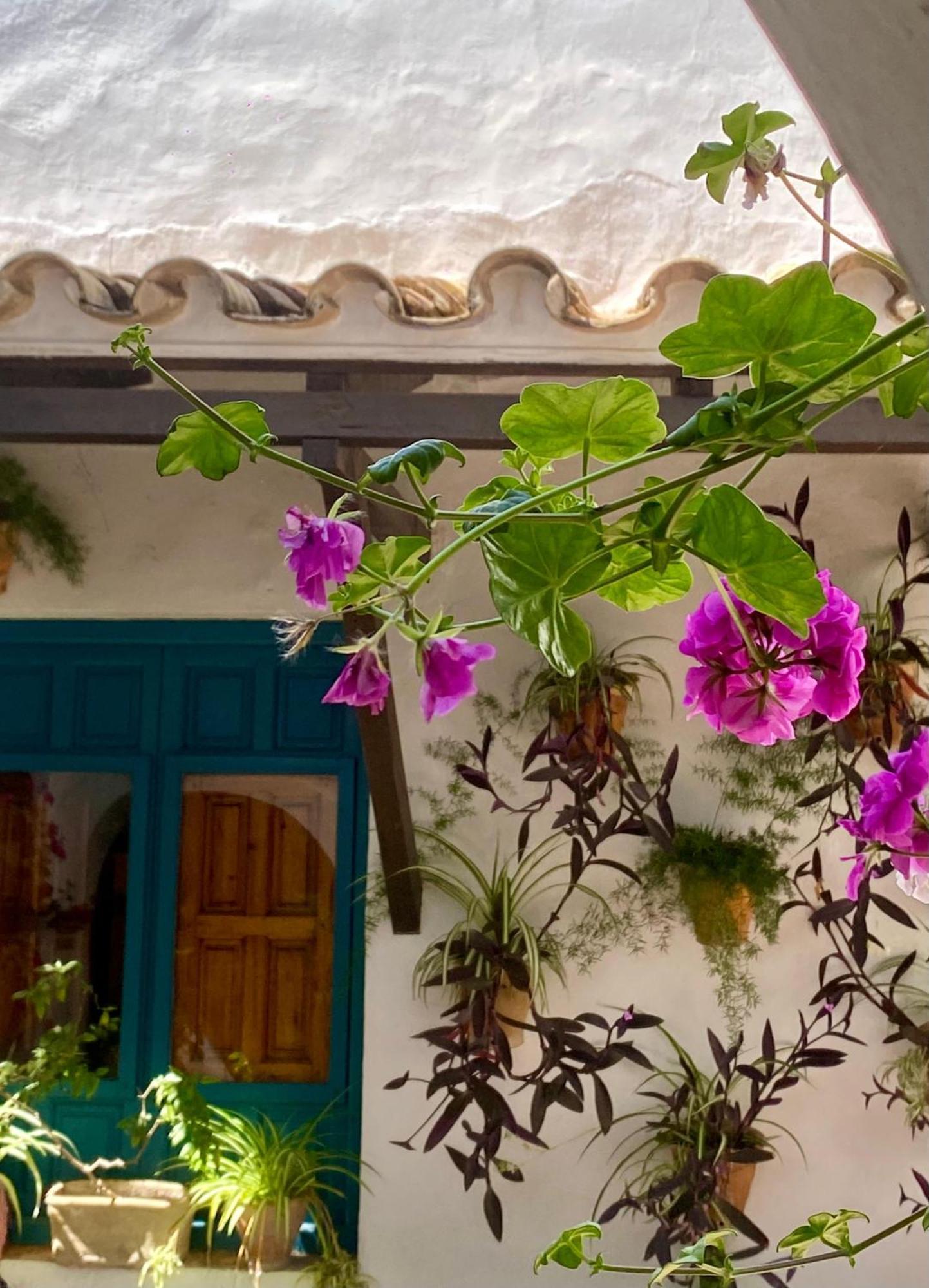 La Buganvilla De Santiago 科爾多瓦 外观 照片