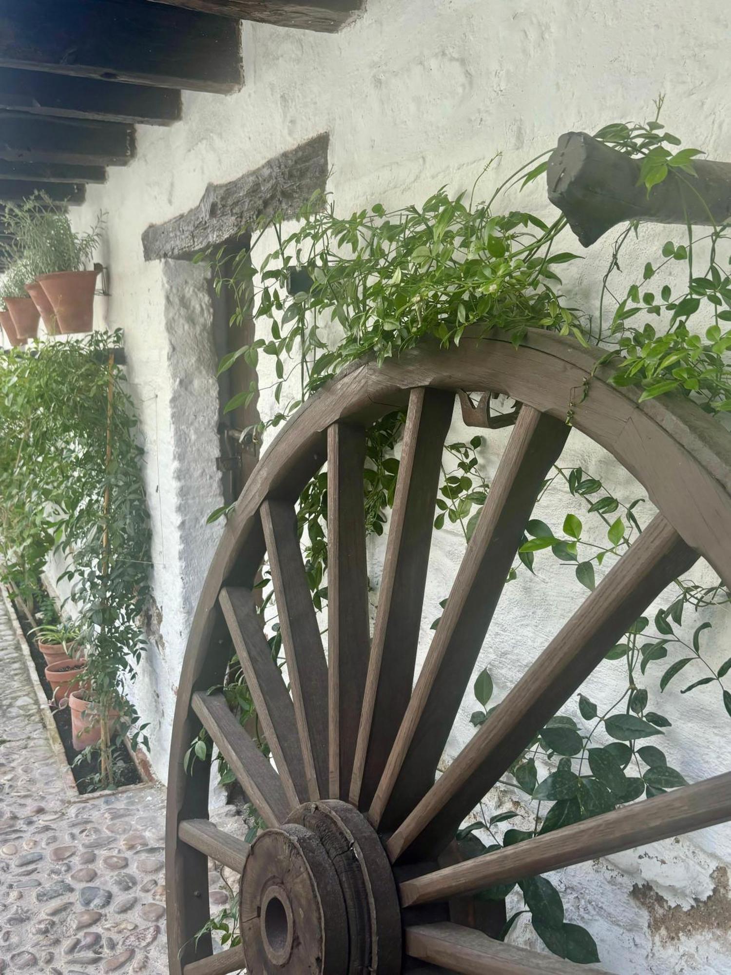 La Buganvilla De Santiago 科爾多瓦 外观 照片