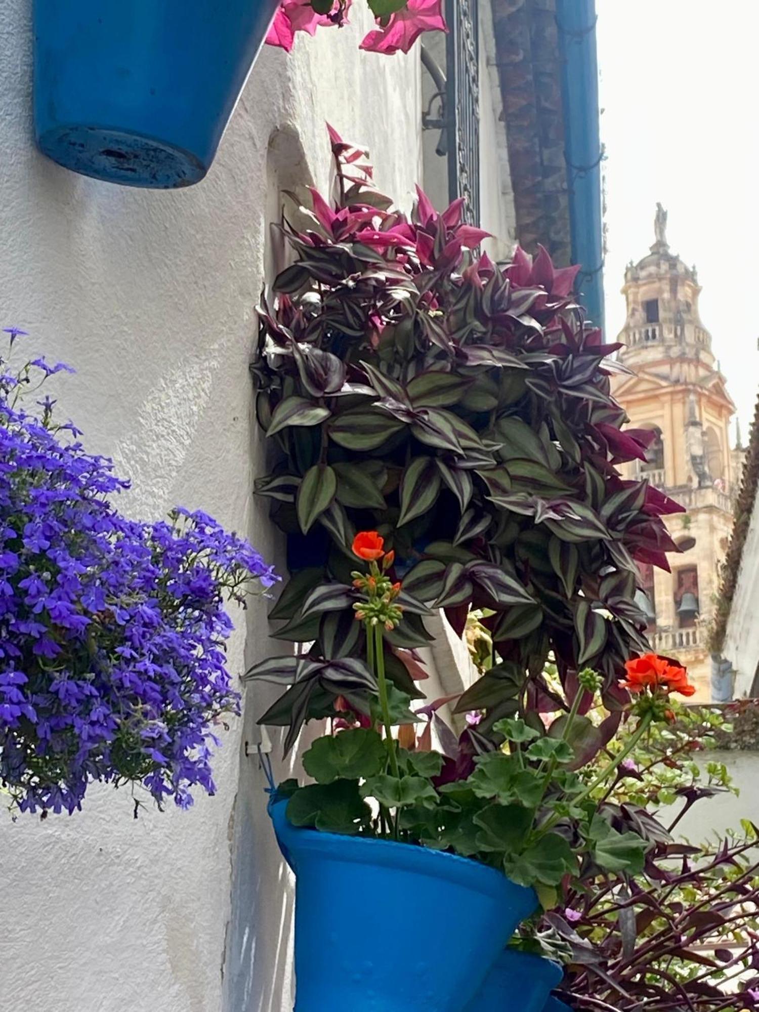 La Buganvilla De Santiago 科爾多瓦 外观 照片