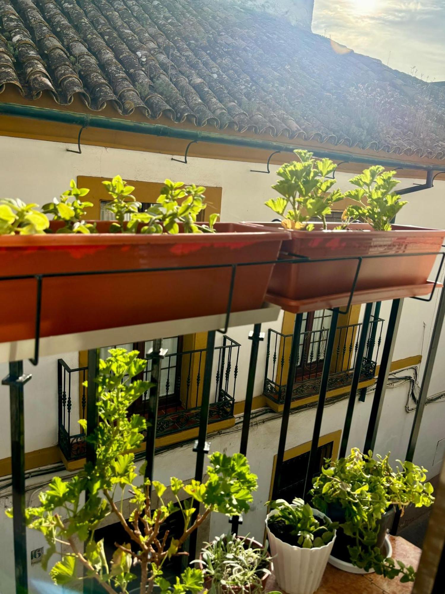 La Buganvilla De Santiago 科爾多瓦 外观 照片