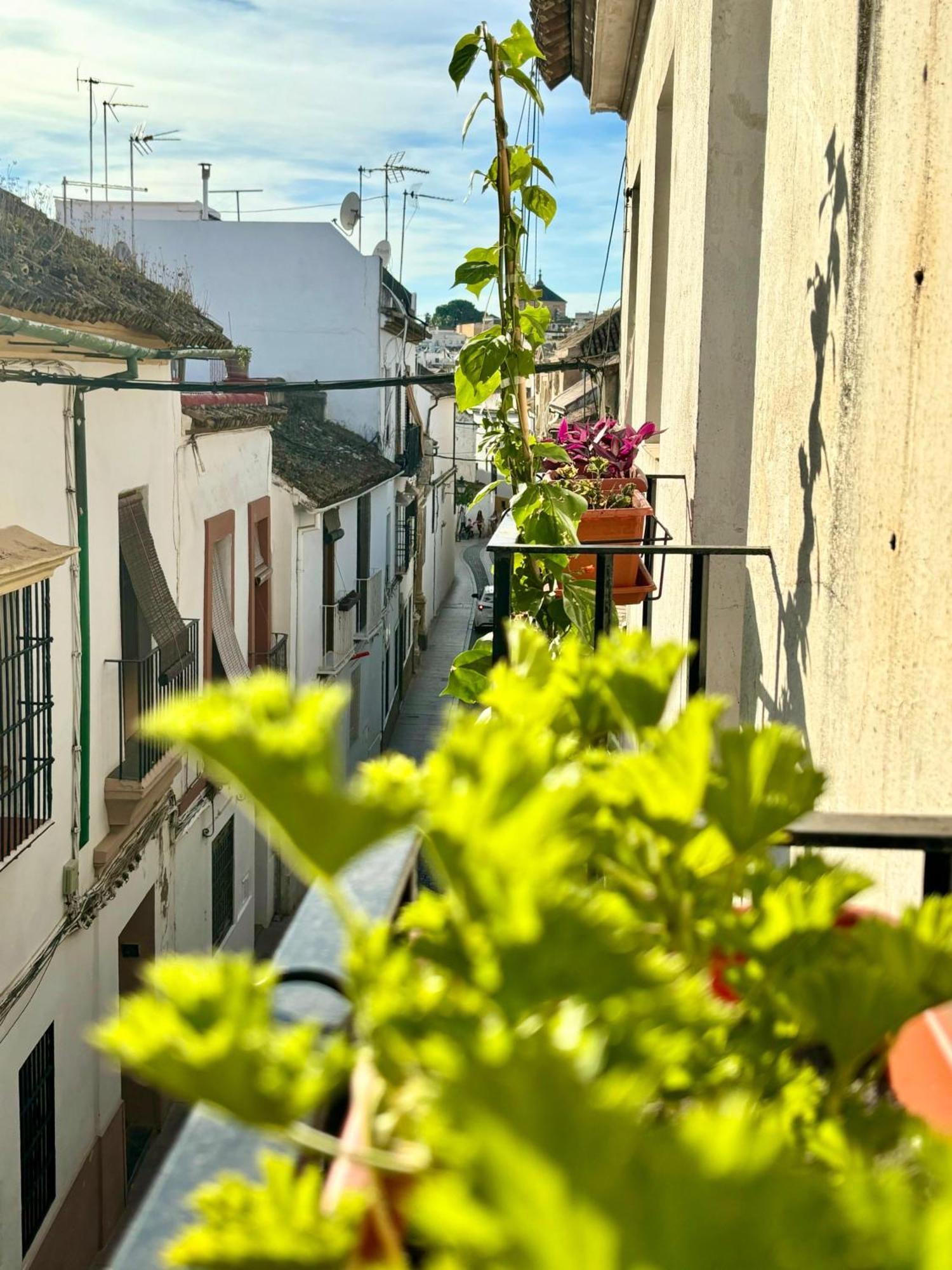 La Buganvilla De Santiago 科爾多瓦 外观 照片